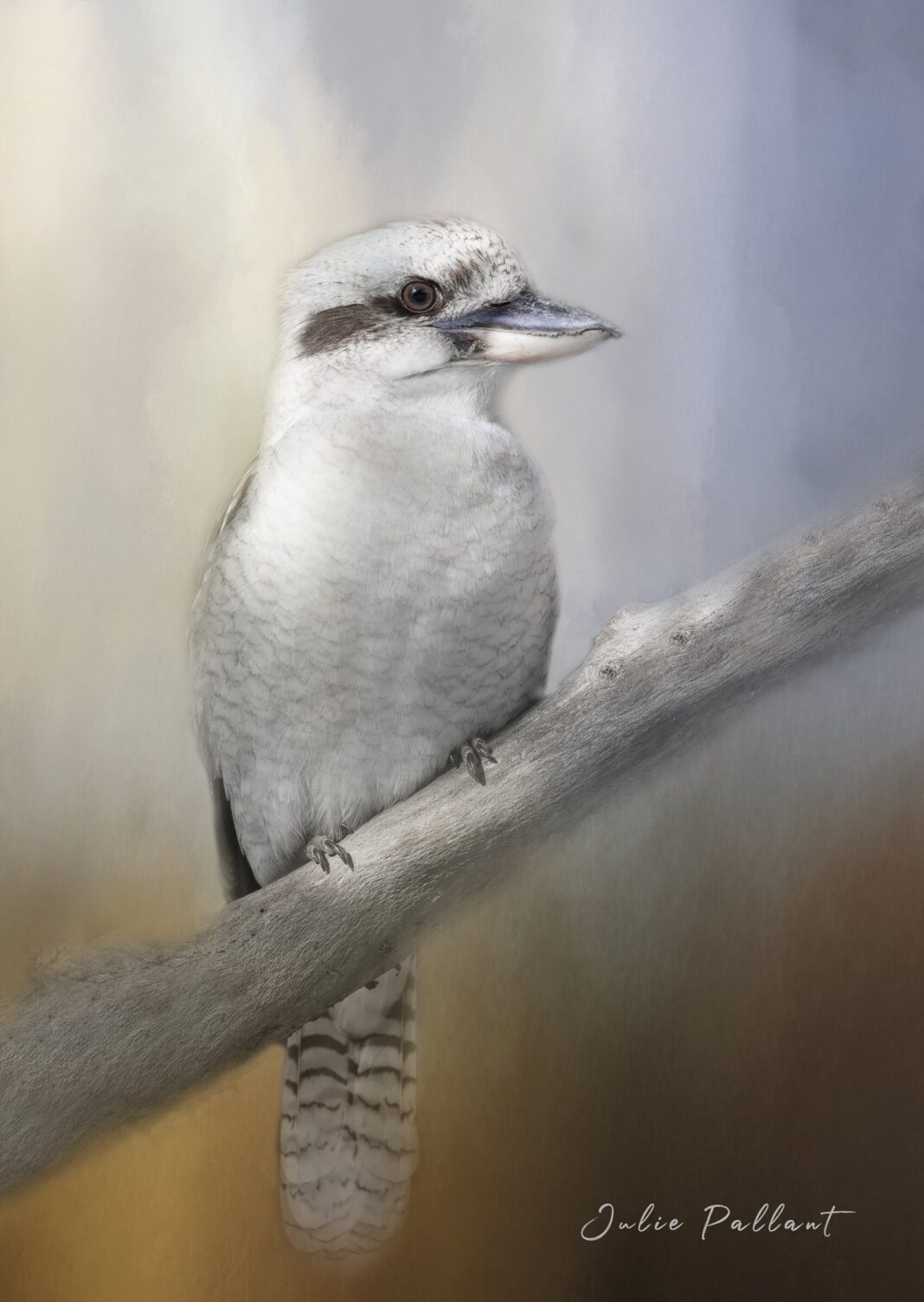 Difference between mysql_connect() and mysql_pconnect() Functions in ...